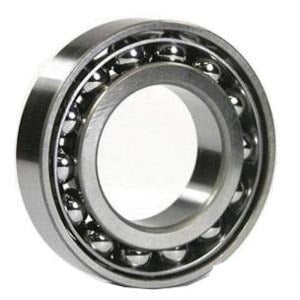 FAG (Schaeffler) 7305-B-XL-2RS-TVP Angular Contact Bearing - FAG Bearings - Elite Bearings